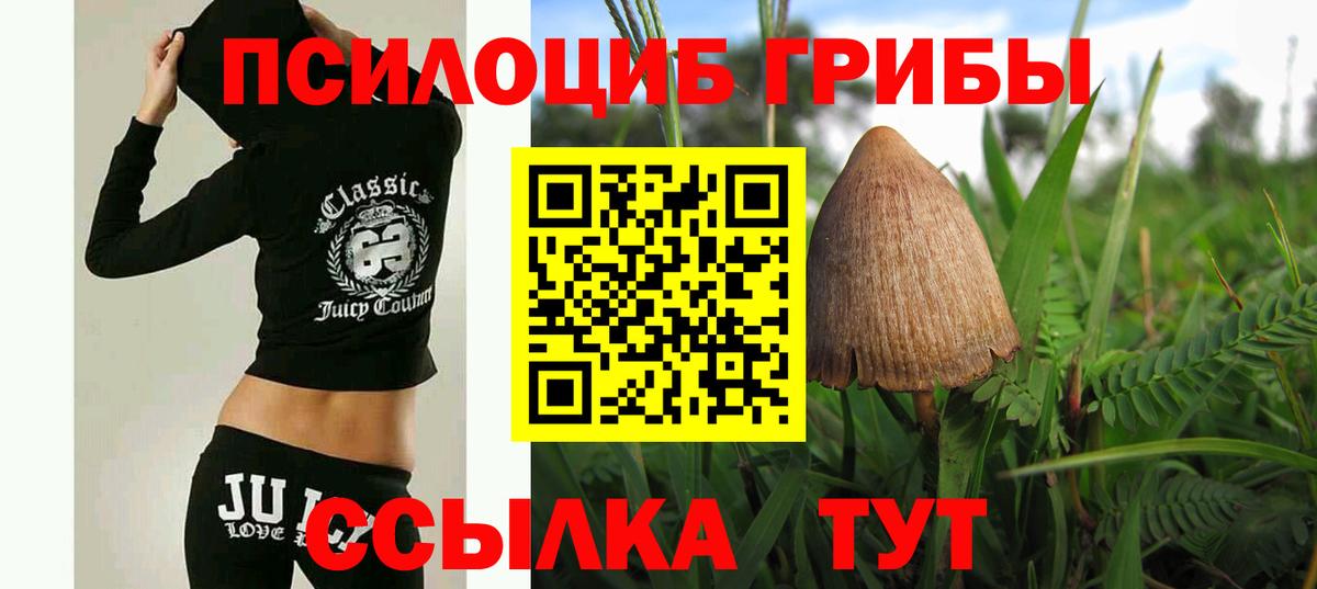 Галлюциногенные грибы Magic Shrooms  Вход с VPN  Клинцы 